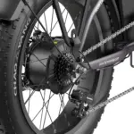 Fafrees FF20 Polar Vélo électrique tout-terrain 20" avec double batterie VTT électrique L1e-B – Image 2