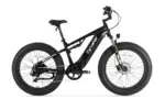 Rover vélo électrique tout-terrain – Image 3
