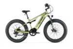 Rover vélo électrique tout-terrain – Image 7