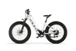 Aura Vélo électrique à cadre bas – Image 5