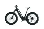 Aura Vélo électrique à cadre bas – Image 3