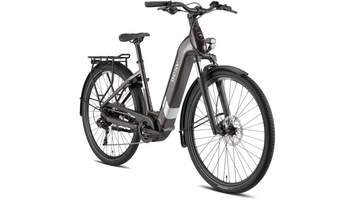 BESV TR 1.3 LS Terre d'Ombre Métallique – Image 1