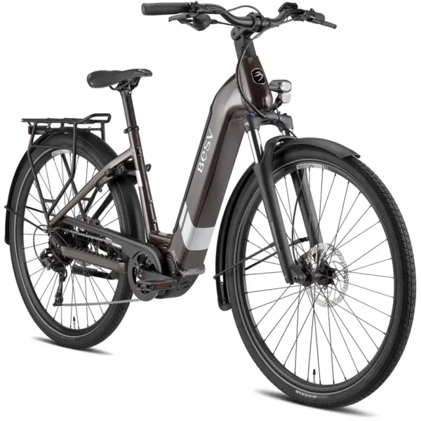 BESV TR 1.3 LS Terre d'Ombre Métallique