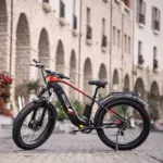DUOTTS F26 - Vélo Électrique - Roues 26" - 750W*2 Double moteur - 48V/20Ah Batterie Samsung - 7 vitesse SHIMANO - Avec App