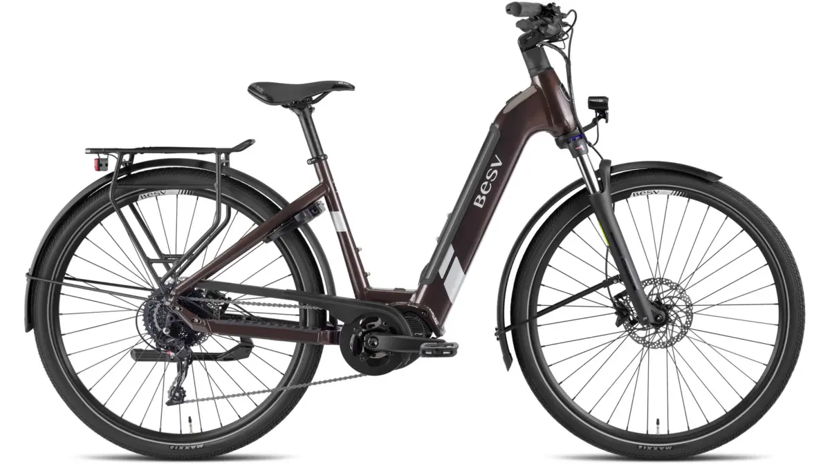 BESV TR 1.3 LS Terre d'Ombre Métallique – Image 4