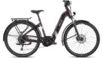 BESV TR 1.3 LS Terre d'Ombre Métallique – Image 4
