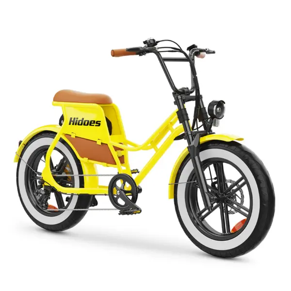Hidoes C8 750W 20" Fat Bike 816Wh Vélo Électrique 48V 17AH Batterie
