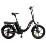 Fafrees F20 250W 20" Vélo électrique Pliant Vélo de Ville 16Ah Batterie
