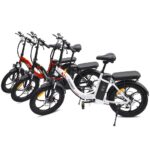 Fafrees F20 250W 20" Vélo électrique Pliant Vélo de Ville 16Ah Batterie – Image 10