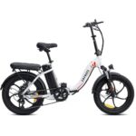 Fafrees F20 250W 20" Vélo électrique Pliant Vélo de Ville 16Ah Batterie – Image 3