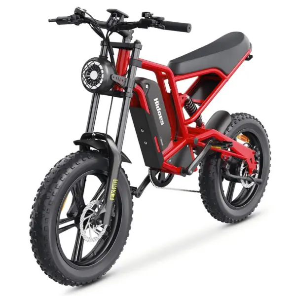 Hidoes B6 MAX 1200W 20" Fat Bike Vélo électrique 48V 15AH Batterie