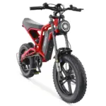 Hidoes B6 MAX 1200W 20" Fat Bike Vélo électrique 48V 15AH Batterie – Image 3