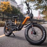 Lankeleisi RX800 Plus Version 2025 1000W Vélo Fat 20" 960Wh Vélo électrique tout suspendu avec Capteur de Couple Batterie 48V 20Ah SUV VTT électrique – Image 7
