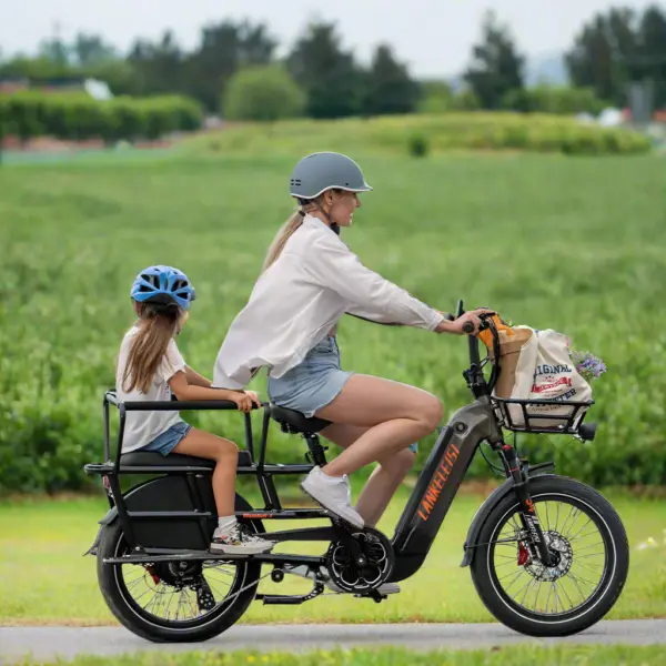 Lankeleisi Wombat-1 1000W 20" Vélo Cargo électrique Longtail avec Capteur de Couple et 960Wh Batterie
