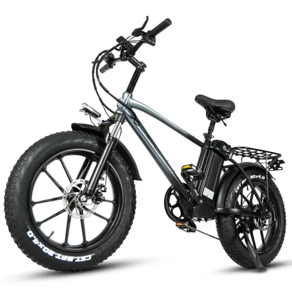 CMACEWHEEL T20 750W 20 "gros vélo électrique VTT Cargo e-bike batterie 17Ah