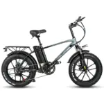 CMACEWHEEL T20 750W 20 "gros vélo électrique VTT Cargo e-bike batterie 17Ah – Image 6
