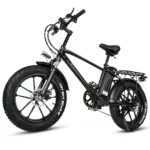 CMACEWHEEL T20 750W 20 "gros vélo électrique VTT Cargo e-bike batterie 17Ah – Image 7