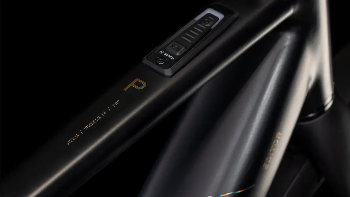 Cube Editor Hybrid Pro FE 400X noir´n´spectral (2025) – Image 6