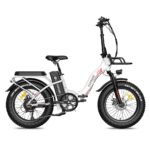 Fafrees F20 Max 2023 Version 500W 20" Fat Bike VTT électrique Pliable 22,5 Ah Samsung Batterie – Image 10