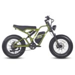 FAFREES F20 ULTRA 750W 20" Fat Bike E-Mountain Bike 48V 25Ah LG Batterie E-MTB – Image 4