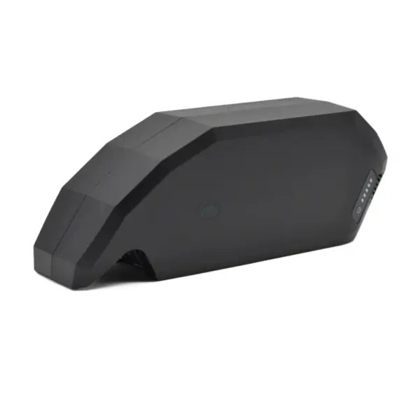 osch PowerPack 700 | Performance/Active | cadre | par E-Bike Vision