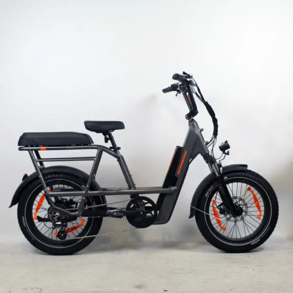 Rad Power Bikes RadRunner 3 Plus noir