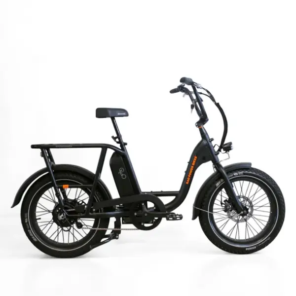 Rad Power Bikes RadRunner