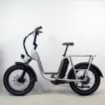 Rad Power Bikes RadRunner Plus gris – Image 6