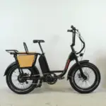 Rad Power Bikes RadRunner noir + accessoires