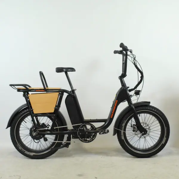 Rad Power Bikes RadRunner noir + accessoires