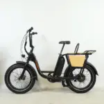 Rad Power Bikes RadRunner noir + accessoires – Image 5